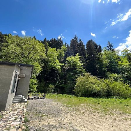 Cozy House In The Forest Borjomi Esterno foto