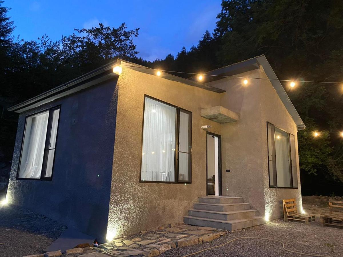 Cozy House In The Forest Borjomi Esterno foto
