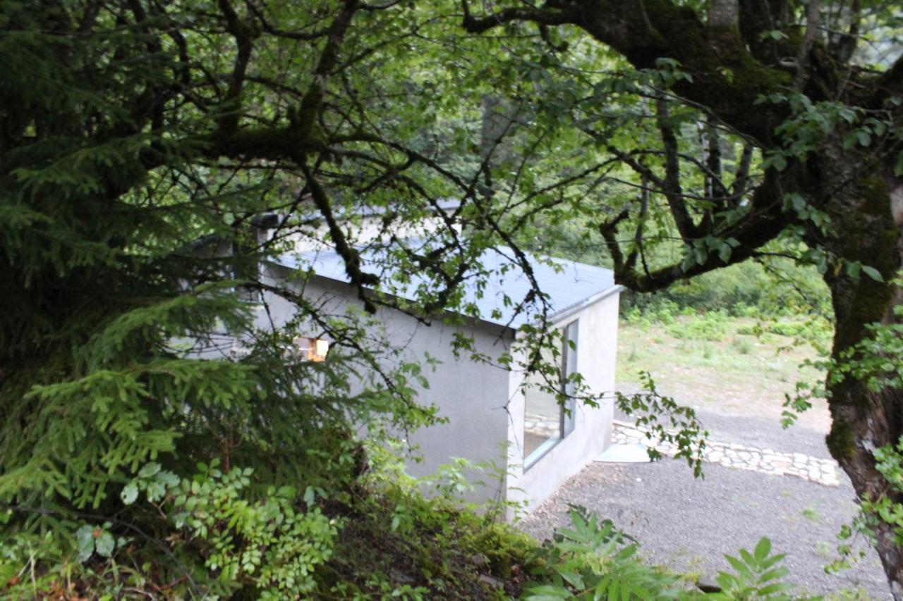 Cozy House In The Forest Borjomi Esterno foto