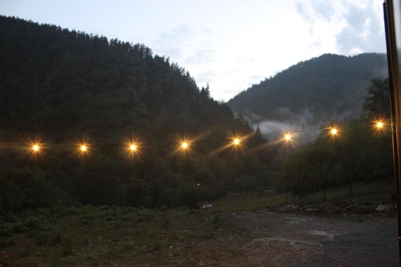 Cozy House In The Forest Borjomi Esterno foto