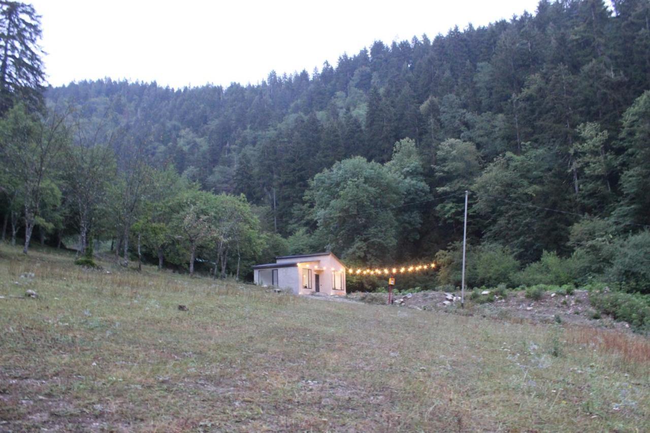 Cozy House In The Forest Borjomi Esterno foto