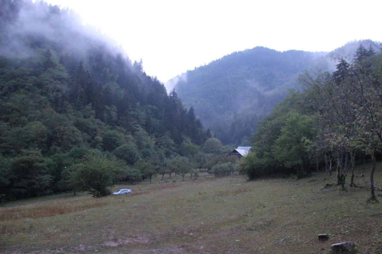 Cozy House In The Forest Borjomi Esterno foto