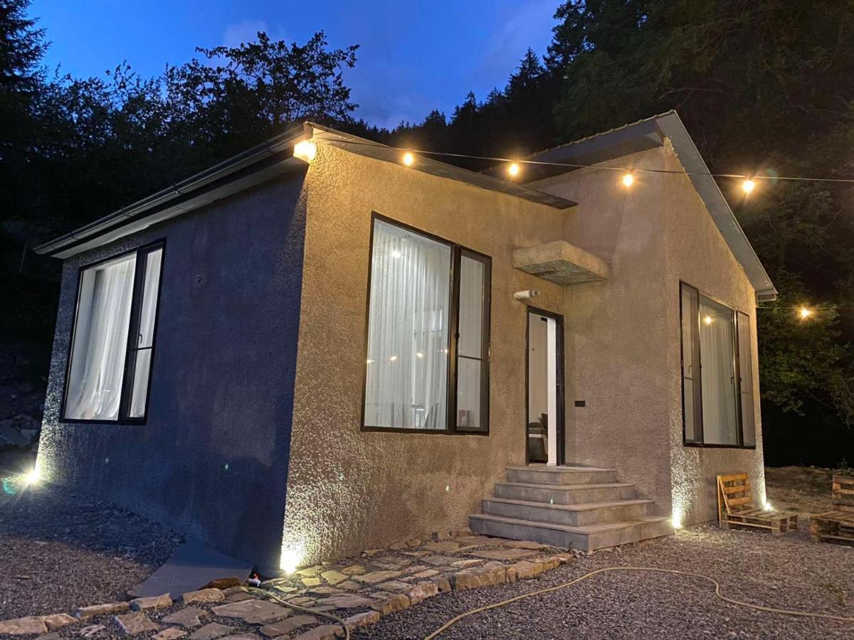 Cozy House In The Forest Borjomi Esterno foto