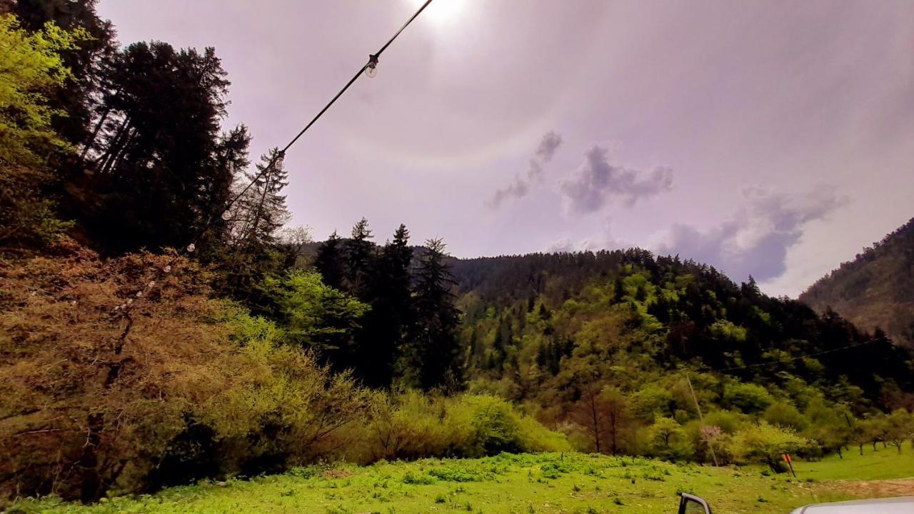 Cozy House In The Forest Borjomi Esterno foto