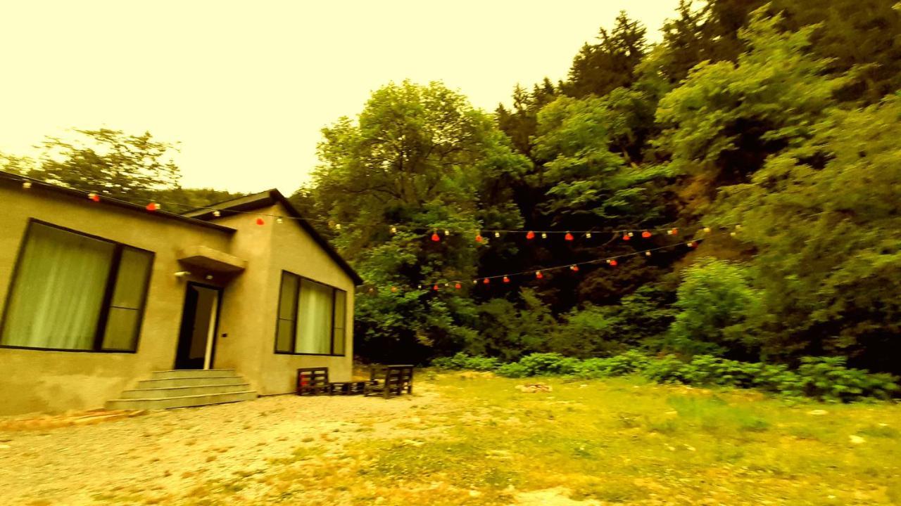 Cozy House In The Forest Borjomi Esterno foto