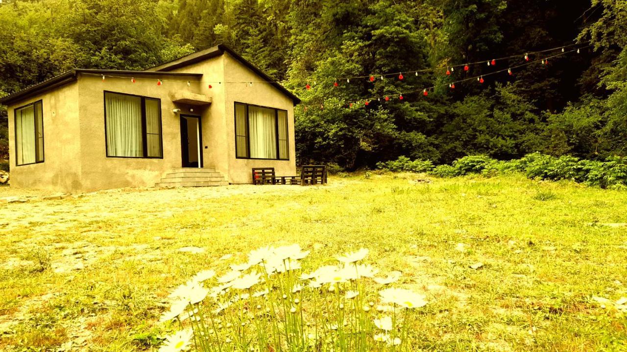 Cozy House In The Forest Borjomi Esterno foto