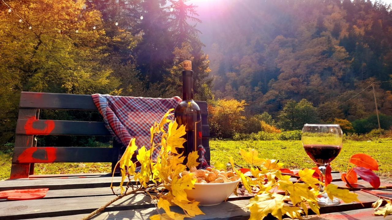 Cozy House In The Forest Borjomi Esterno foto