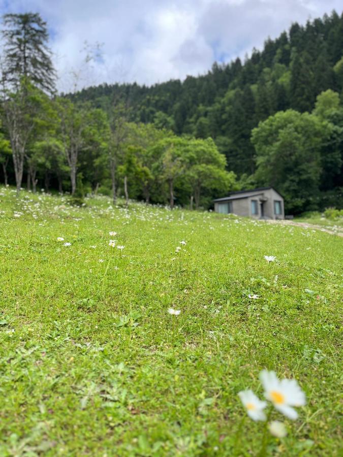 Cozy House In The Forest Borjomi Esterno foto