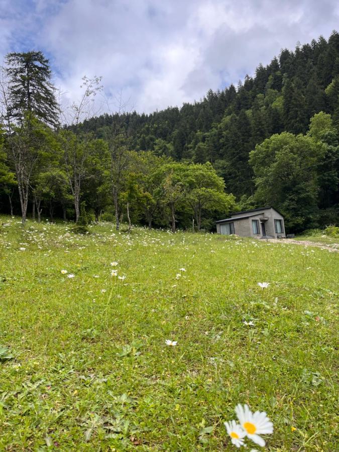 Cozy House In The Forest Borjomi Esterno foto