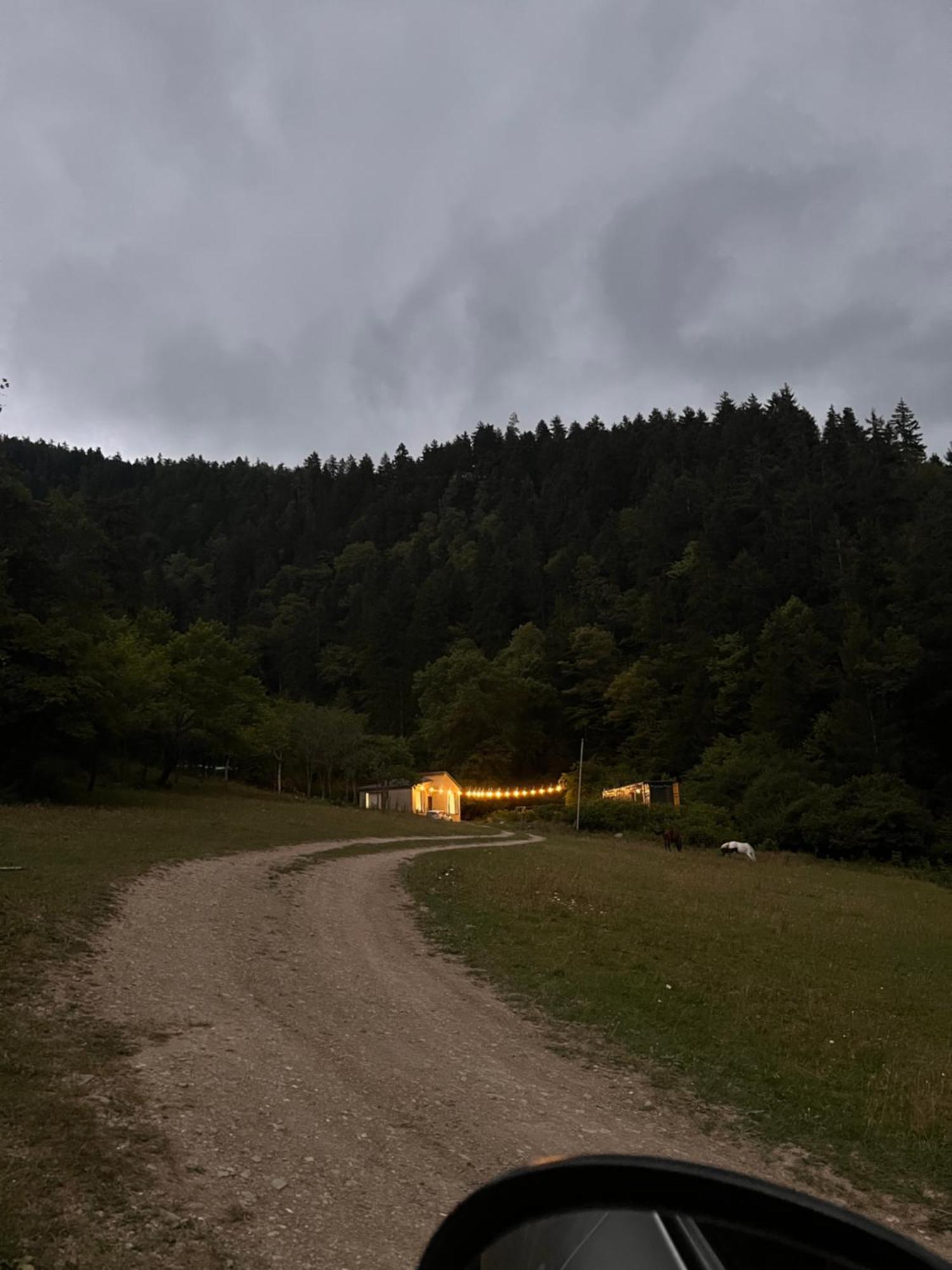 Cozy House In The Forest Borjomi Esterno foto