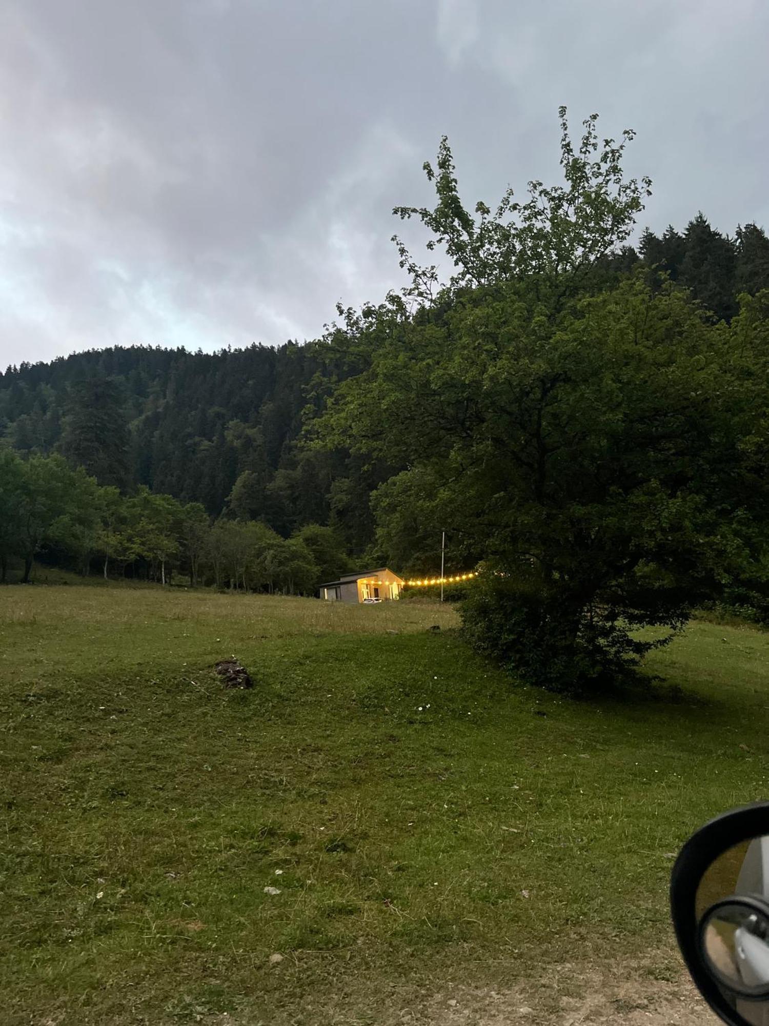 Cozy House In The Forest Borjomi Esterno foto