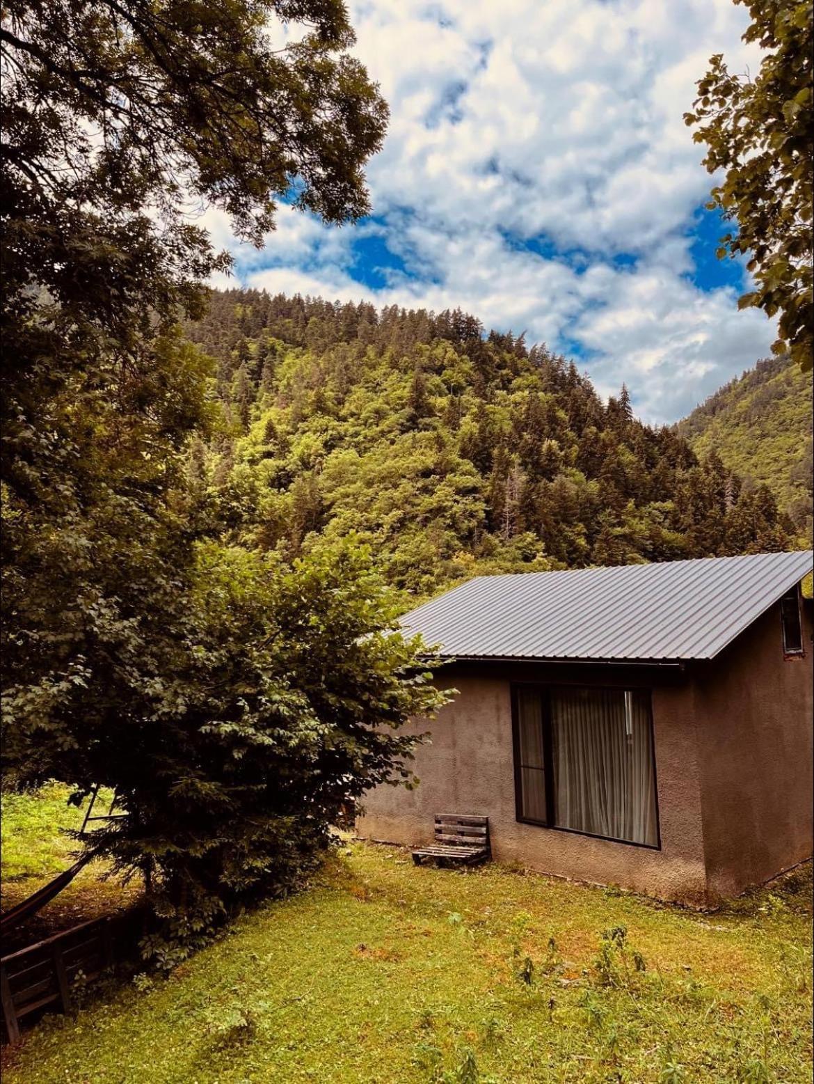 Cozy House In The Forest Borjomi Esterno foto